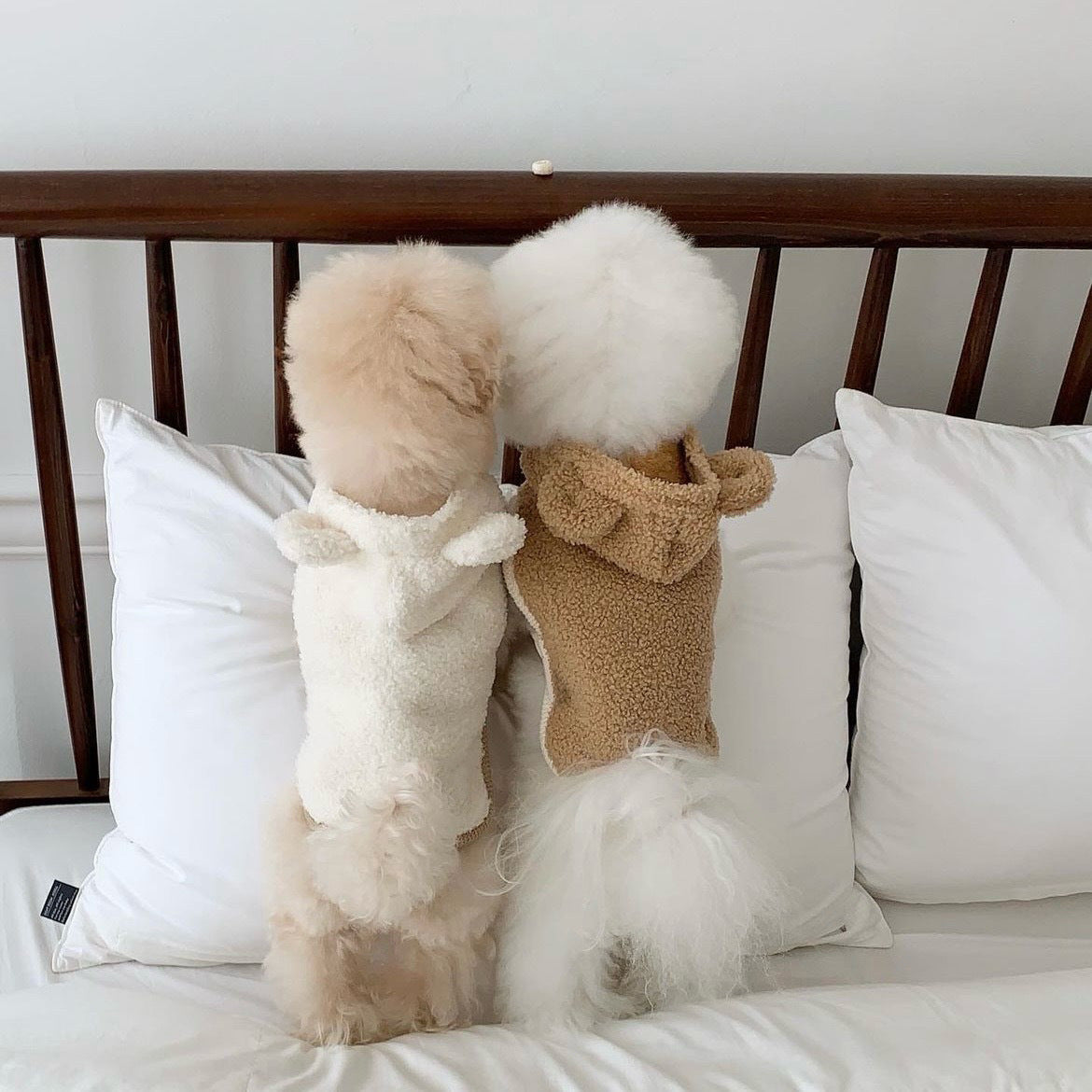 Warm Pet Cape for Small and Medium Dogs and Cats