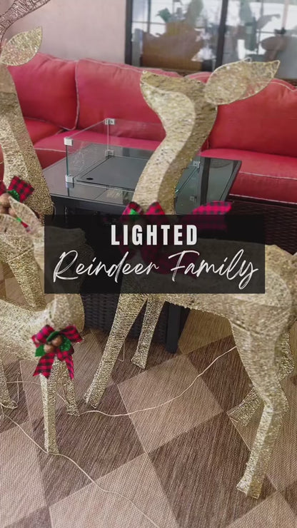 FOOWIN 3D Large Lighted Christmas Deer Family Set, 3-Piece 4.8Ft Pre-Lit Reindeer Outdoor Christmas Decoration with 210 LED Lights, Red Bows,Stakes, for Yard Patio Lawn Garden Courtyard